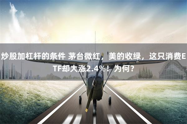 炒股加杠杆的条件 茅台微红，美的收绿，这只消费ETF却大涨2.4%！为何？