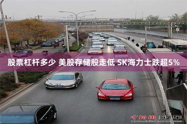 股票杠杆多少 美股存储股走低 SK海力士跌超5%