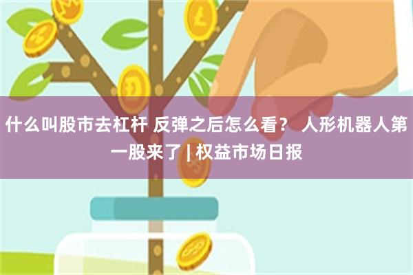 什么叫股市去杠杆 反弹之后怎么看? 人形机器人第一股来了 | 权益市场日报