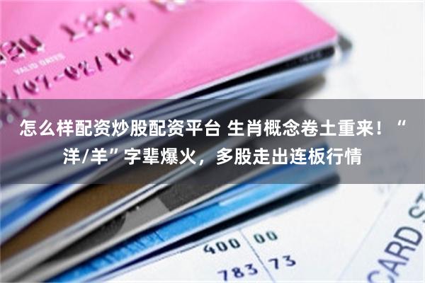 怎么样配资炒股配资平台 生肖概念卷土重来！“洋/羊”字辈爆火，多股走出连板行情