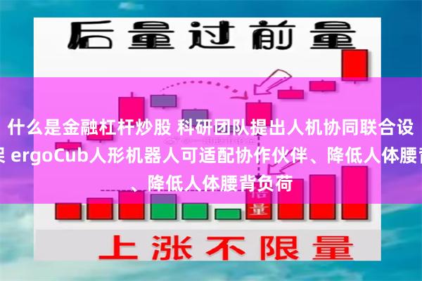 什么是金融杠杆炒股 科研团队提出人机协同联合设计框架 ergoCub人形机器人可适配协作伙伴、降低人体腰背负荷