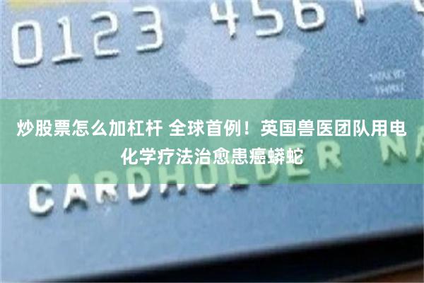 炒股票怎么加杠杆 全球首例！英国兽医团队用电化学疗法治愈患癌蟒蛇