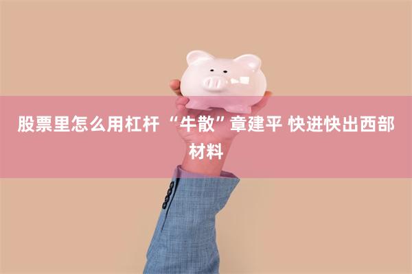 股票里怎么用杠杆 “牛散”章建平 快进快出西部材料