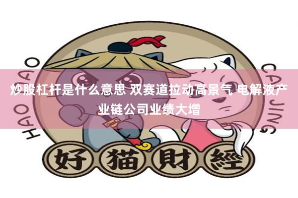 炒股杠杆是什么意思 双赛道拉动高景气 电解液产业链公司业绩大增