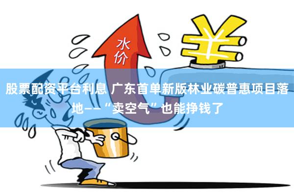 股票配资平台利息 广东首单新版林业碳普惠项目落地——“卖空气”也能挣钱了