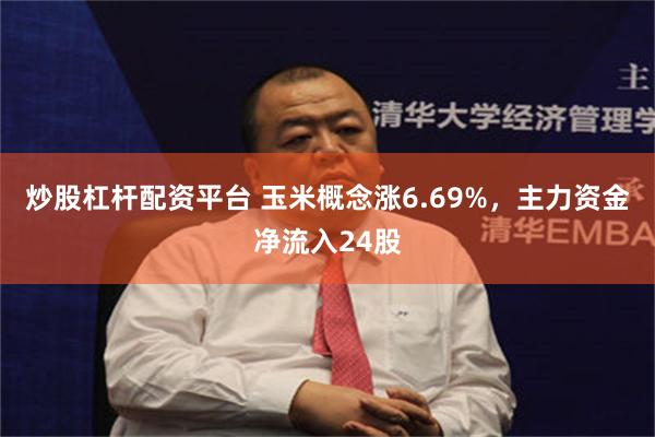 炒股杠杆配资平台 玉米概念涨6.69%,主力资金净流入24股