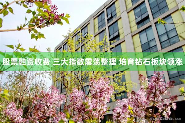 股票融资收费 三大指数震荡整理 培育钻石板块领涨