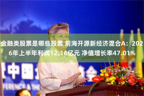 金融类股票是哪些股票 前海开源新经济混合A：2026年上半年利润12.16亿元 净值增长率47.01%