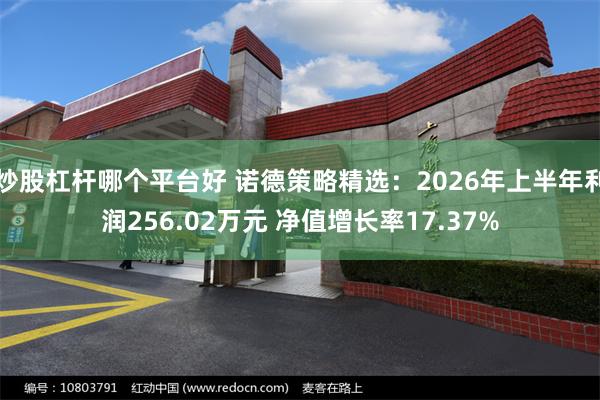 炒股杠杆哪个平台好 诺德策略精选：2026年上半年利润256.02万元 净值增长率17.37%
