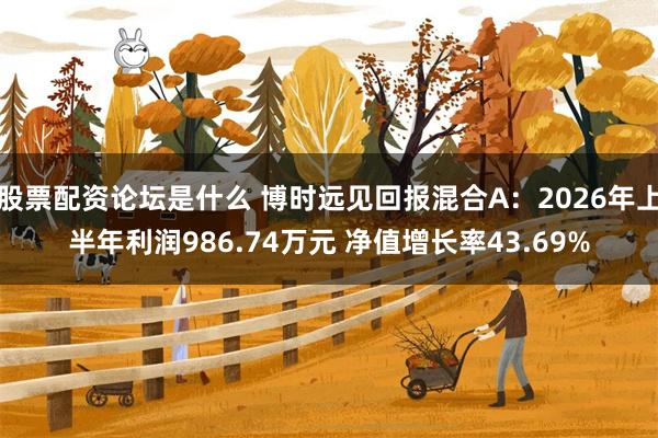 股票配资论坛是什么 博时远见回报混合A：2026年上半年利润986.74万元 净值增长率43.69%