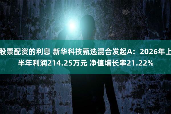 股票配资的利息 新华科技甄选混合发起A：2026年上半年利润214.25万元 净值增长率21.22%