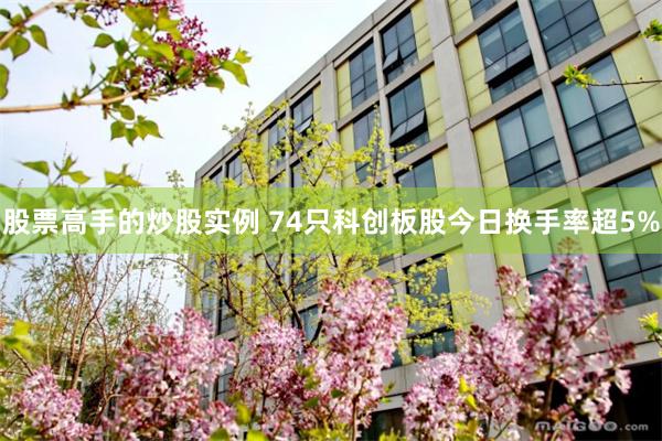 股票高手的炒股实例 74只科创板股今日换手率超5%