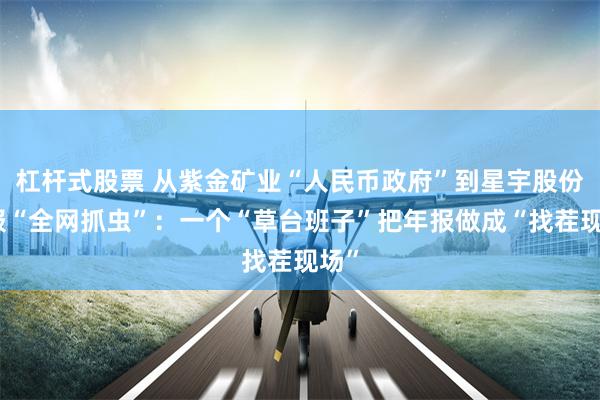 杠杆式股票 从紫金矿业“人民币政府”到星宇股份年报“全网抓虫”：一个“草台班子”把年报做成“找茬现场”