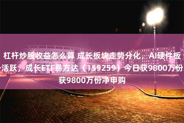 杠杆炒股收益怎么算 成长板块走势分化，AI硬件板块逆势活跃，成长ETF易方达（159259）今日获9800万份净申购