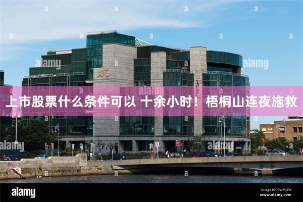 上市股票什么条件可以 十余小时！梧桐山连夜施救