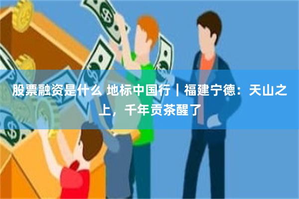 股票融资是什么 地标中国行｜福建宁德：天山之上，千年贡茶醒了