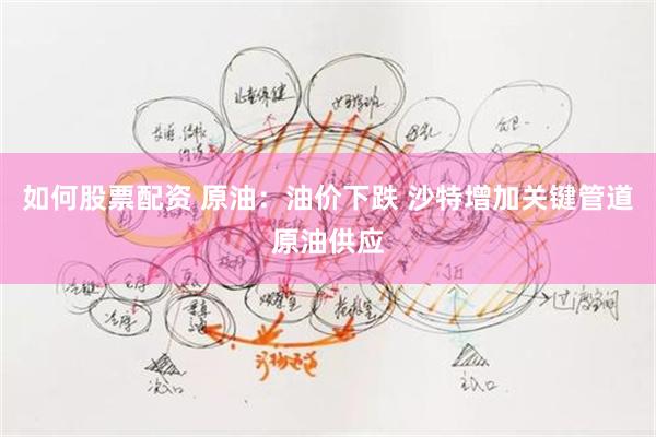 如何股票配资 原油：油价下跌 沙特增加关键管道原油供应