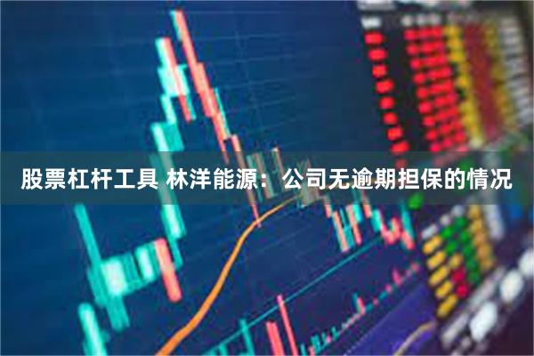 股票杠杆工具 林洋能源：公司无逾期担保的情况