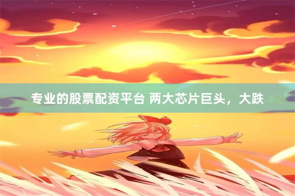 专业的股票配资平台 两大芯片巨头，大跌