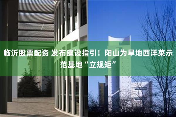 临沂股票配资 发布建设指引！阳山为旱地西洋菜示范基地“立规矩”