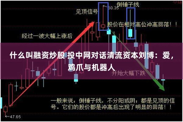什么叫融资炒股 投中网对话清流资本刘博：爱，鸡爪与机器人