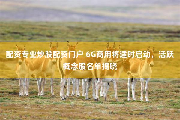 配资专业炒股配资门户 6G商用将适时启动，活跃概念股名单揭晓
